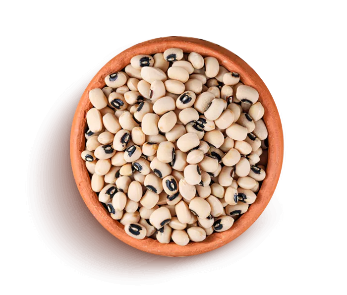 Cowpea