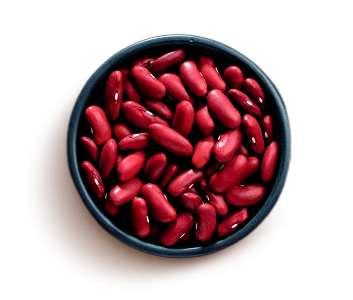 Dark Red Kidney