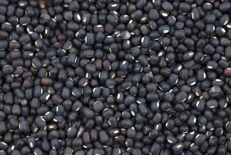 Black Matpe