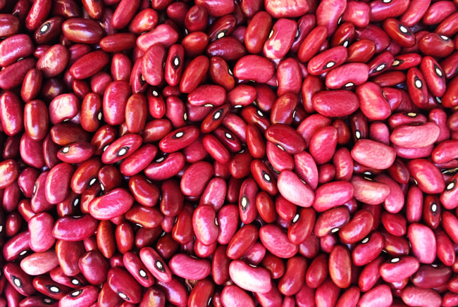 Small Red Beans